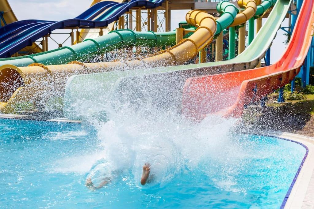 Cavalo Preto Premium Stays Куартейра Екстер'єр фото